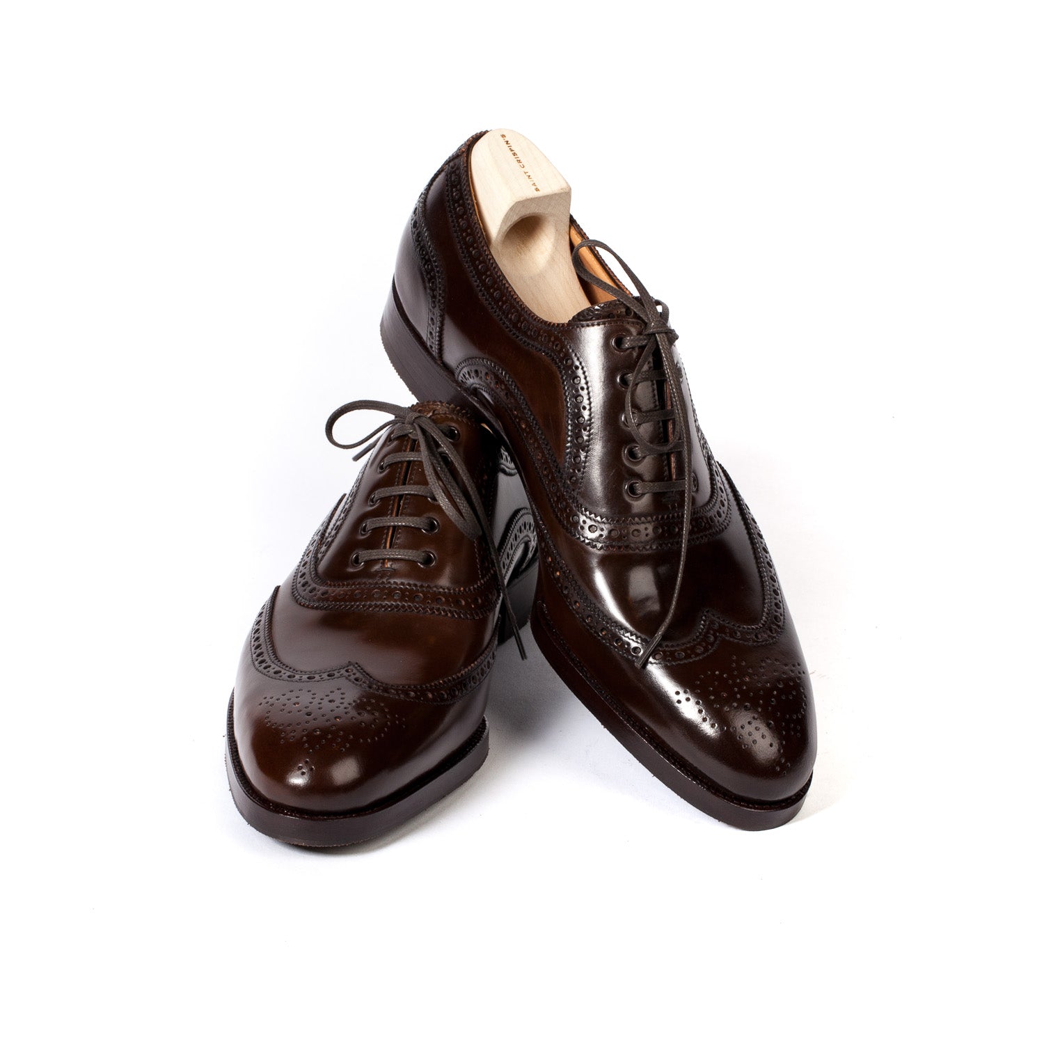 Limited Edition: Oxford "Brogue American" aus original Horween Shell Cordovan - reine Handarbeit